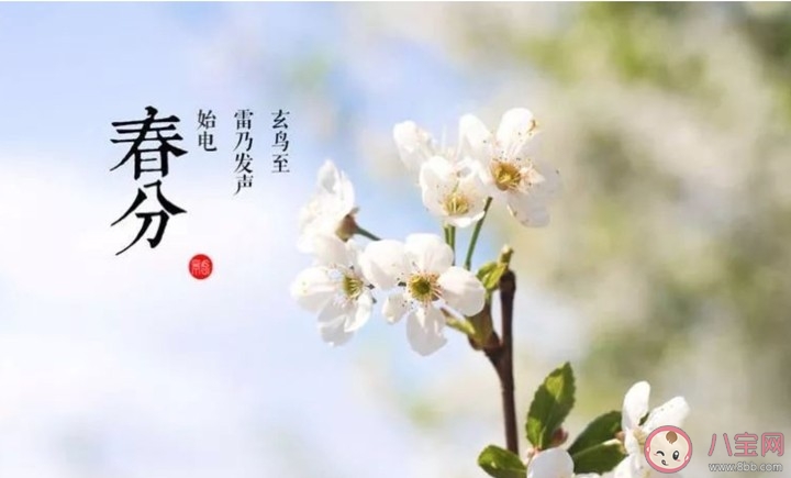 2020春分节气微信文案说说 春分节气发朋友圈句子