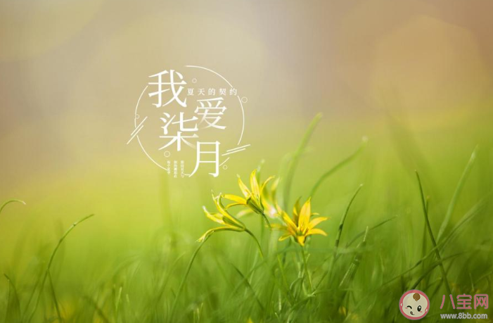 2020七月你好七月开始了的朋友圈配文 2020七月你好的朋友圈怎么发