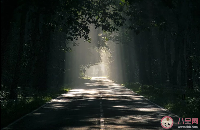 形容雾大的心情说说 形容雾大的心情句子 形容雾大的心情说说 形容雾大的心情句子