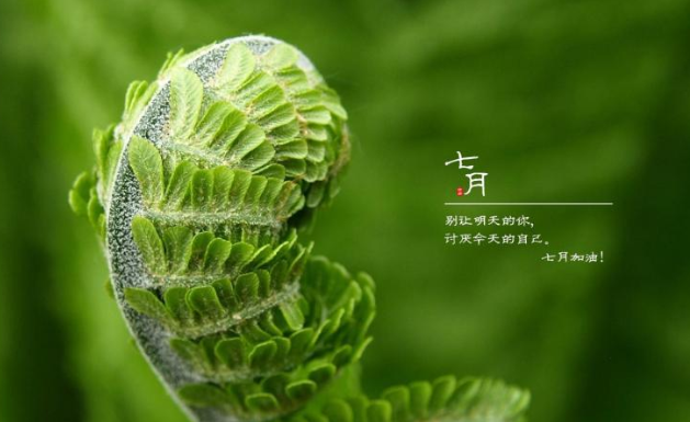 2020七月你好的优美文案说说短句 2020七月你好的朋友圈美好说说