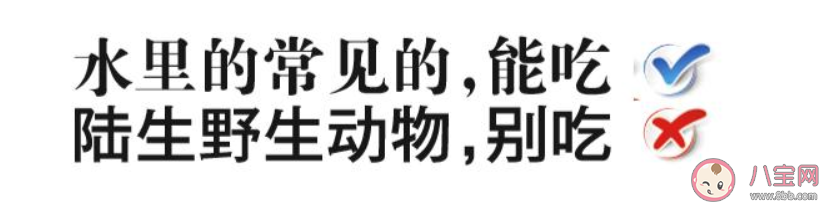 人工饲养的野生动物能吃吗 人工饲养的野生动物可不可以食用