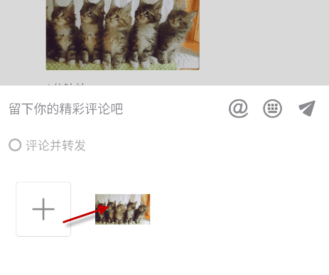 五只小猫摇头表情包动图 无价之姐主题曲摇头表情包