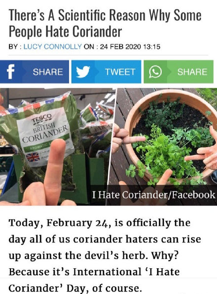 讨厌香菜是基因变异了怎么回事 为什么讨厌吃香菜