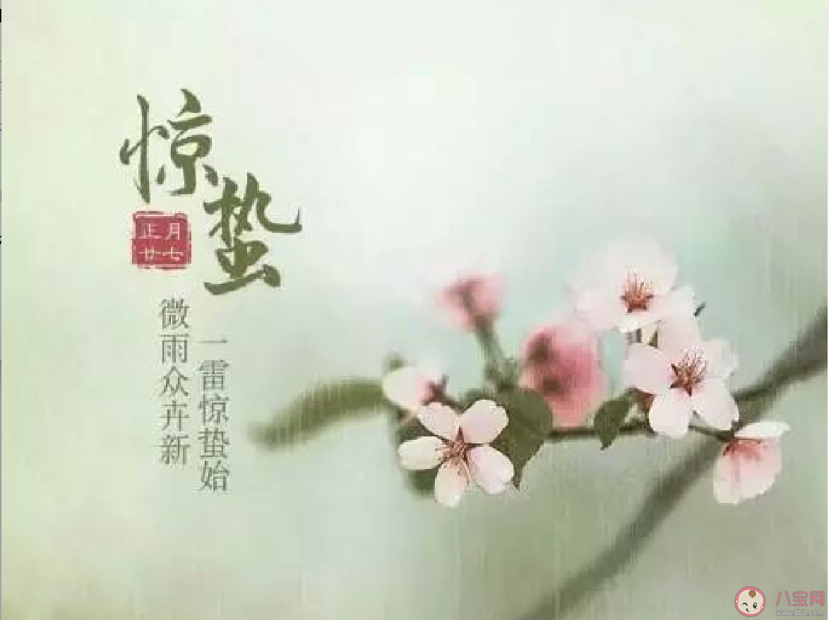 2020惊蛰节气快乐心情句子 惊蛰配图文案说说大全 2020惊蛰节气快乐心情句子 惊蛰配图文案说说大全