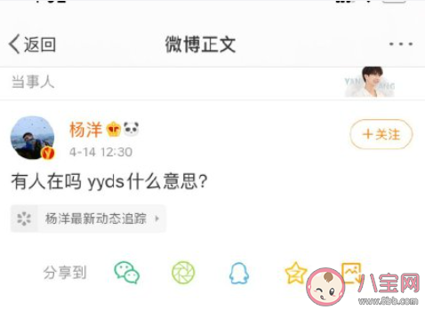 杨洋问yyds什么意思 yyds是什么梗
