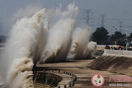 蚂蚁庄园钱塘江观潮最佳时节 4月3日答案介绍