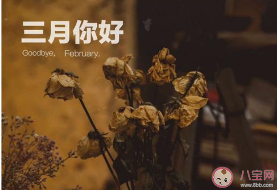 三月来了的经典文案说说2020 迎接3月的经典文案句子大全