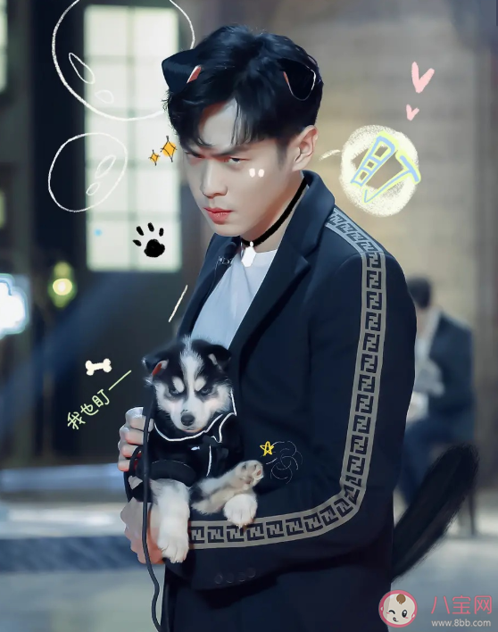 网络用语狗塑是什么意思什么梗 狗塑为什么火了