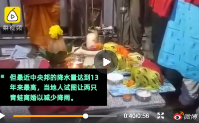 印度为求雨结婚的青蛙离婚了是什么意思 印度给青蛙结婚秋雨是怎么回事 印度为求雨结婚的青蛙离婚了是什么意思 印度给青蛙结婚秋雨是怎么回事