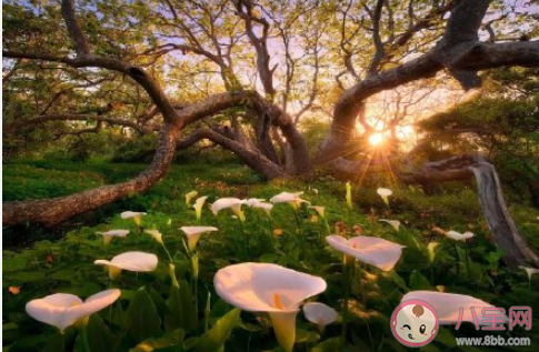 最需要设置冷静期的事是什么 生活中哪些事情需要冷静期