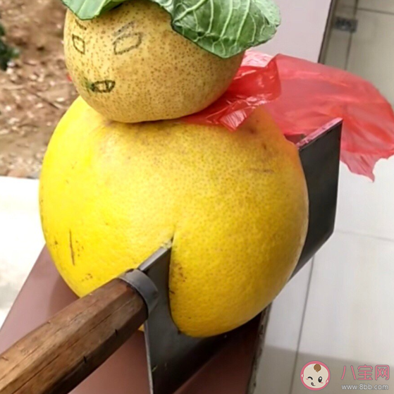 男生的思路都是一样的是什么意思 为什么说男生的思路都是一样的