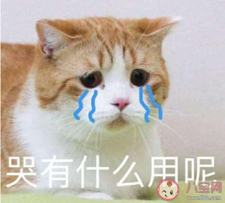 怎么用一句话总结2020上半年 一句话总结2020上半年