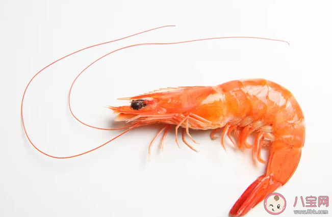 优质蛋白质食物排行榜 吃什么食物补充优质蛋白质