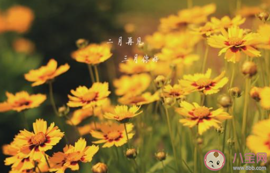 二月最后一天的心情感慨说说 二月最后一天的感受句子