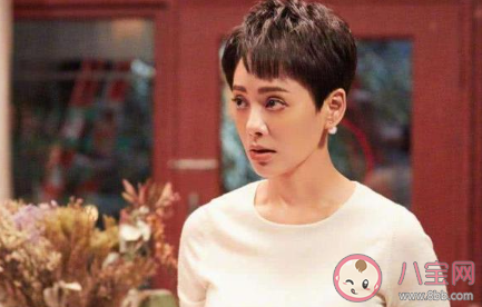 宁静为什么说几十年白干了 我几十年白干了什么梗