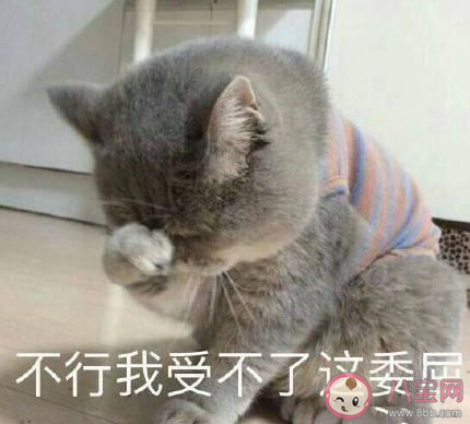 怎么用一句话总结2020上半年 一句话总结2020上半年