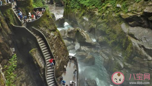 重庆4500度悬崖旋转楼梯在哪 值得一去的楼梯景点有哪些 重庆4500度悬崖旋转楼梯在哪 值得一去的楼梯景点有哪些