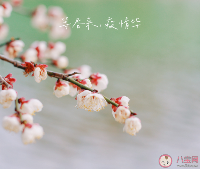 春天来了朋友圈心情 春天来了说说句子感慨