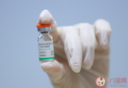 最适合打疫苗的着装是怎样的 打疫苗穿怎样的衣服最好 最适合打疫苗的着装是怎样的 打疫苗穿怎样的衣服最好