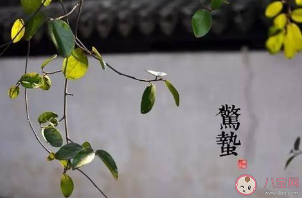 2020关于惊蛰节气的经典问候语说说 惊蛰节气的祝福语文案句子大全