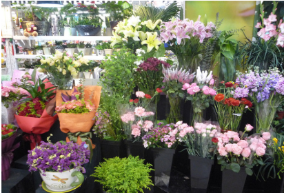 花店不开了花继续开表达了什么 《伪诗集》里的其他耐人寻味的小诗