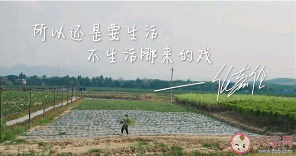 国超文集是什么意思什么梗 国超文集经典语录大全