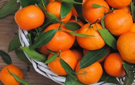 宝宝补充维生素B吃什么好 补充维生素B的食物大全