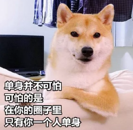 七夕吃狗粮的心情说说 七夕吃 狗粮搞笑说说图片