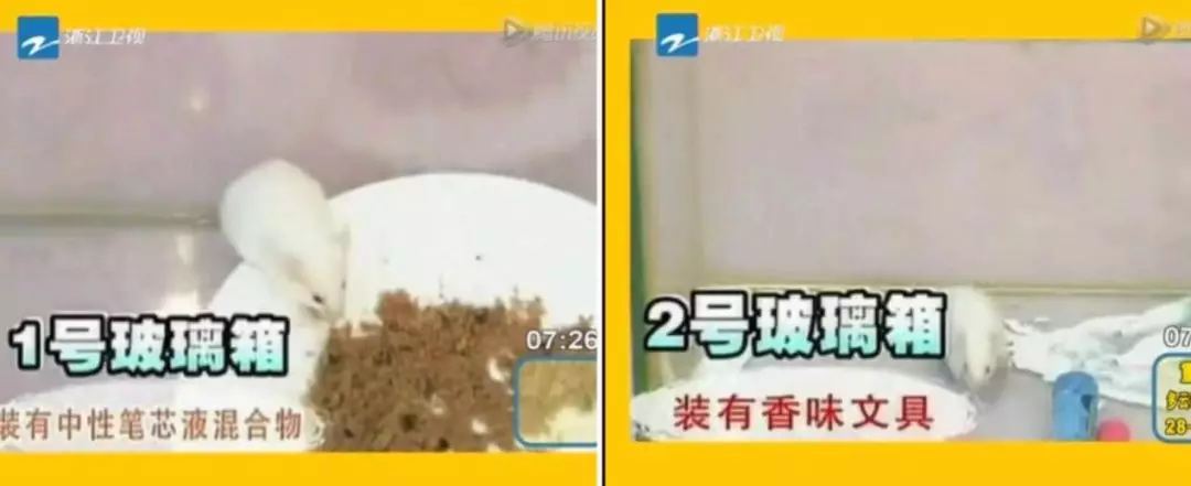 给孩子买有香味的彩笔有什么不好 哪些文具要谨慎给孩子买