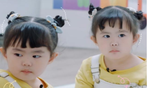 我们长大了大毛二毛个人资料 大毛二毛表情包合集 我们长大了大毛二毛个人资料 大毛二毛表情包合集