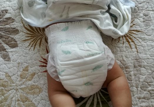 晓宝贝金装茶籽油纸尿裤怎么样 晓宝贝纸尿裤使用测评