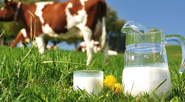 有机奶粉和普通奶粉有什么区别 有机奶粉的好处