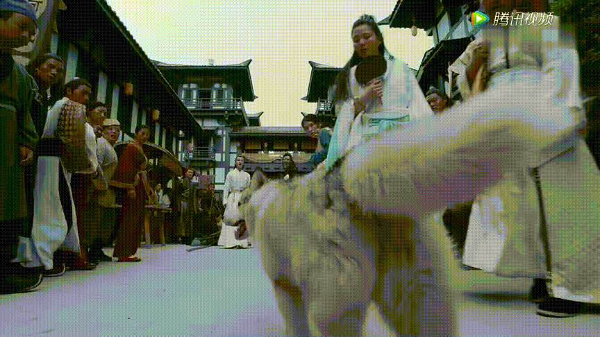 陈情令摘下面具在哪一集 陈情令江澄是怎么认出魏无羡的