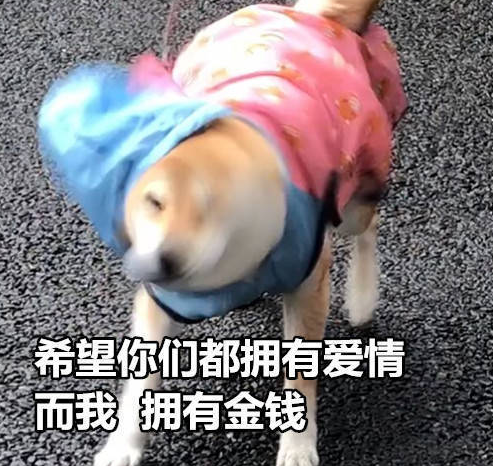 七夕单身朋友圈说说心情短语 七夕单身狗发的说说配图