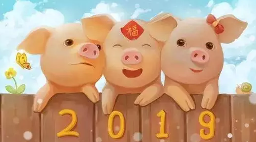 为什么都说猪宝宝好 为什么那么多人想要猪宝宝