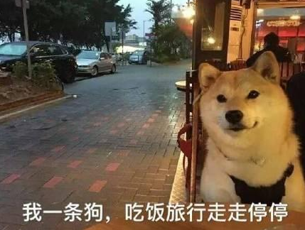 七夕单身狗专用表情包 七夕单身狗说说配图