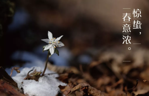 惊蛰节气吃什么食物好 2019惊蛰养生食物推荐