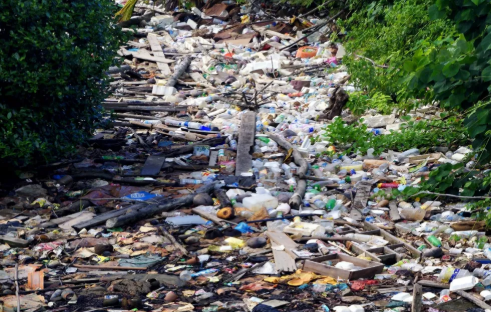 福州垃圾分类标准是什么 2019福州垃圾分类标准指南