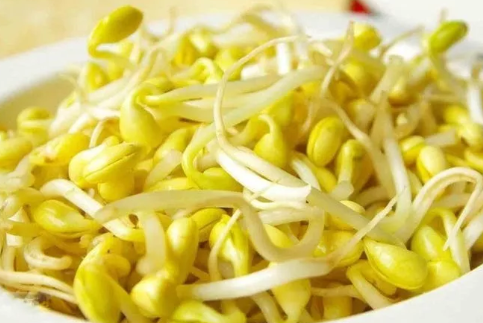哺乳期吃黄豆芽还是绿豆芽 哺乳期吃黄豆芽好不好