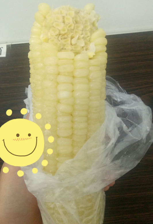 玉米棒是什么垃圾 玉米棒是湿垃圾吗