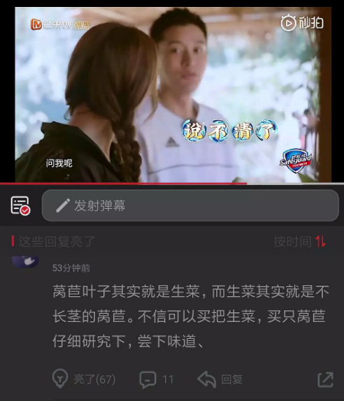 莴笋叶子是生菜吗 莴笋和生菜是一种吗