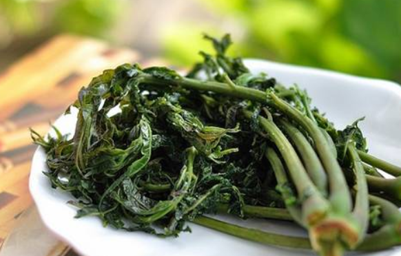 2019宝宝春分养生吃什么 孩子春分养生要注意什么