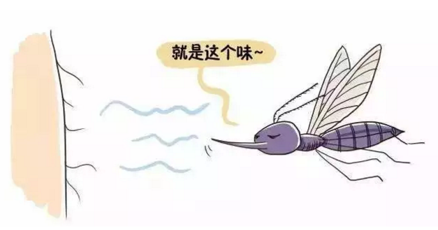 不同年龄段怎么给孩子驱蚊 孩子被蚊子咬了怎么帮他止痒