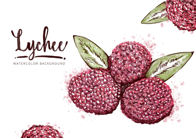 孩子杨梅吃多少比较好 孩子吃杨梅要注意什么