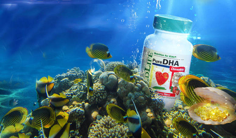 鱼油鱼肝油维生素AD D3怎么区分 鱼油鱼肝油维生素AD D3有什么区别 鱼油鱼肝油维生素AD D3怎么区分 鱼油鱼肝油维生素AD D3有什么区别