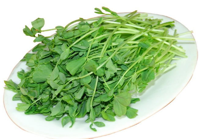 什么时候孩子最适合吃素 孩子什么时候适合吃得清淡些 什么时候孩子最适合吃素 孩子什么时候适合吃得清淡些