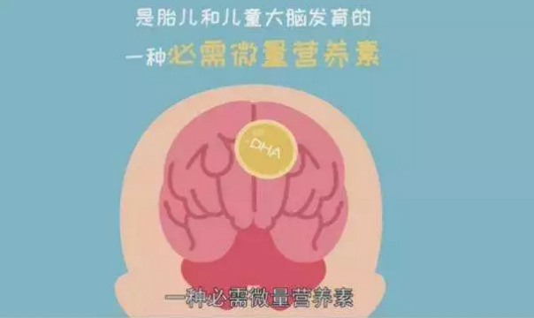 奶粉伴侣是什么 可以给宝宝吃奶粉伴侣吗