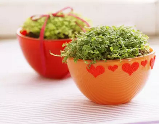 2019上半年结束说说 如果时光可以倒流的说说2019 2019上半年结束说说 如果时光可以倒流的说说2019