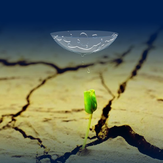 隐形眼镜是干垃圾还是湿垃圾 怎么区分隐形眼镜是什么垃圾