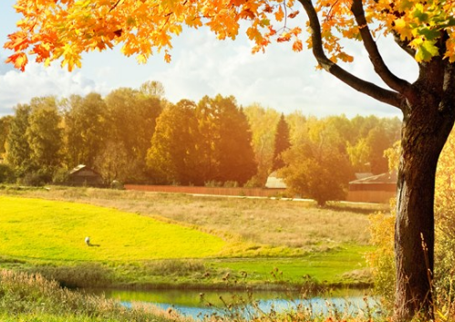 2019今日立秋配图句子说说朋友圈 今日立秋节气心情说说短语 2019今日立秋配图句子说说朋友圈 今日立秋节气心情说说短语